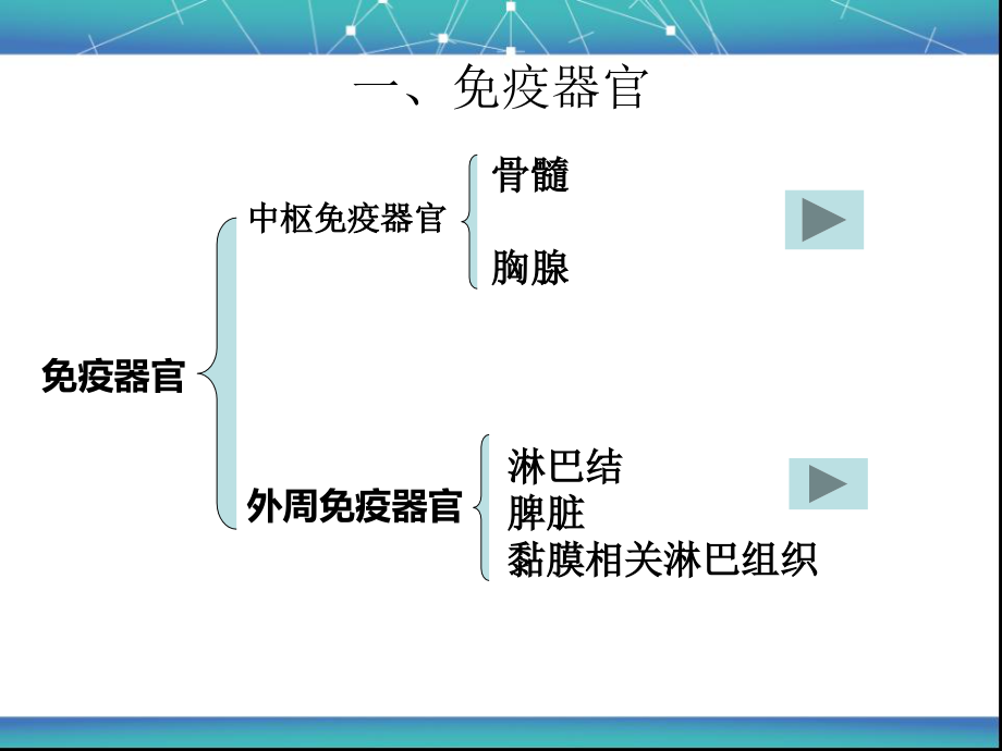 病原生物与免疫学基础第三章第三四节免疫系统和免疫应答.ppt_第2页