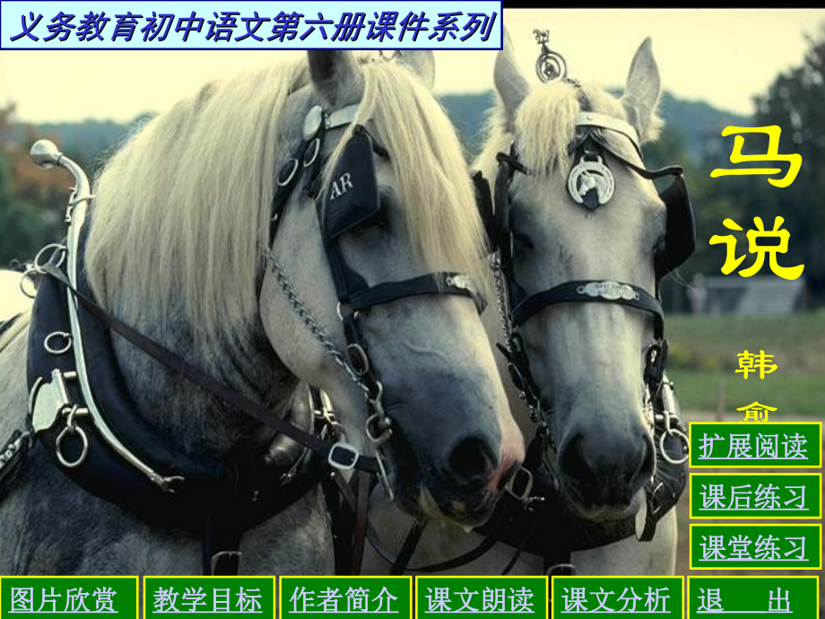 参赛之马说课件.ppt_第1页