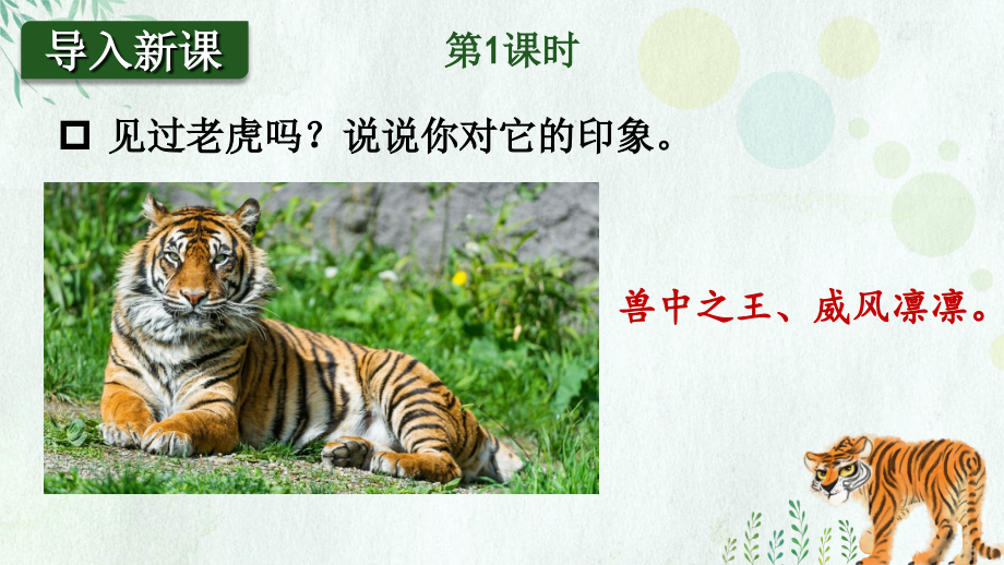 部编版四年级语文上册《一只窝囊的大老虎》课件ppt.ppt_第2页