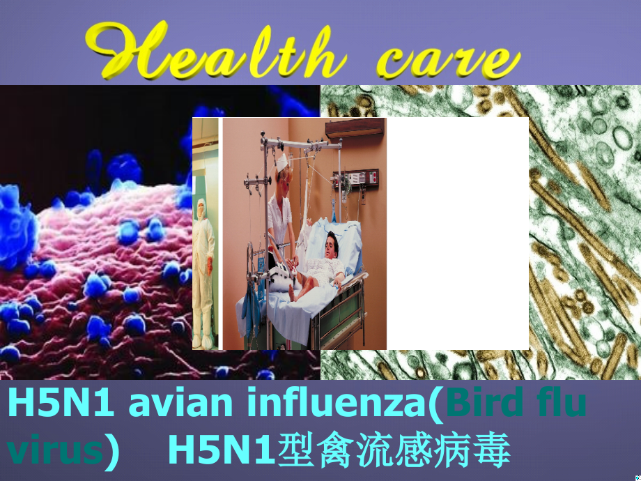 高中英语Unit 9 Health care课件.ppt_第2页