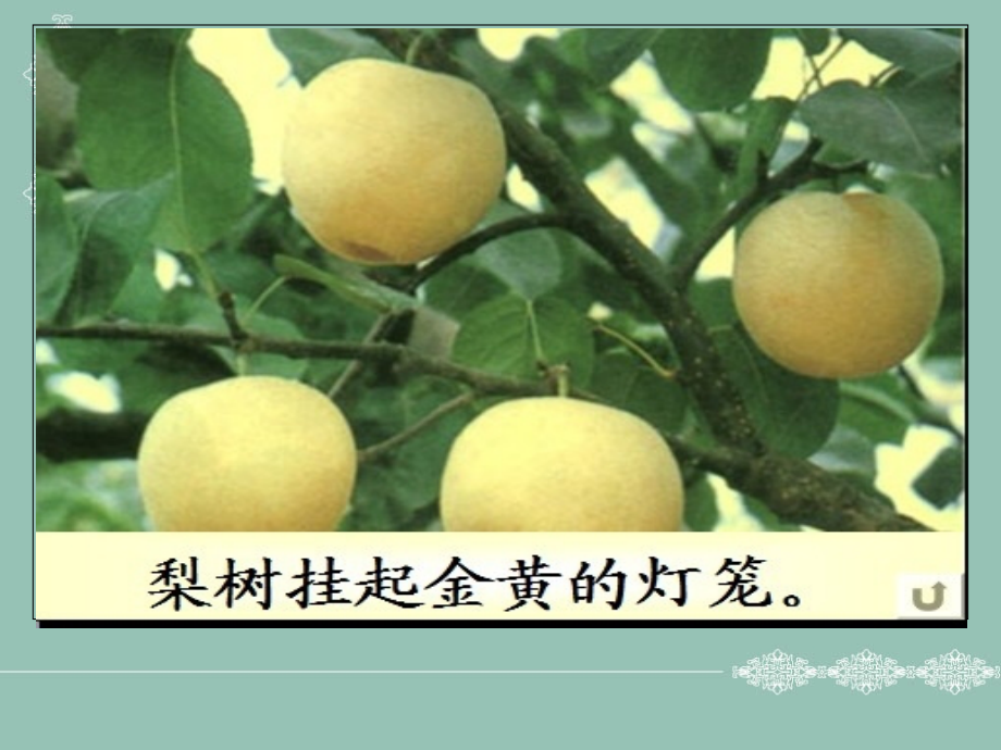 人教版三年级上册作文《美丽的秋天》PPT.ppt_第2页