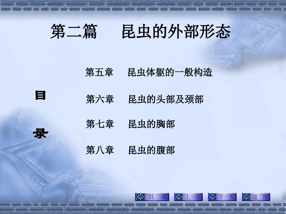 外部形态头部.ppt_第1页