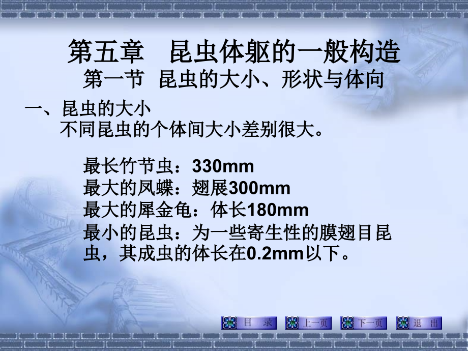 外部形态头部.ppt_第2页