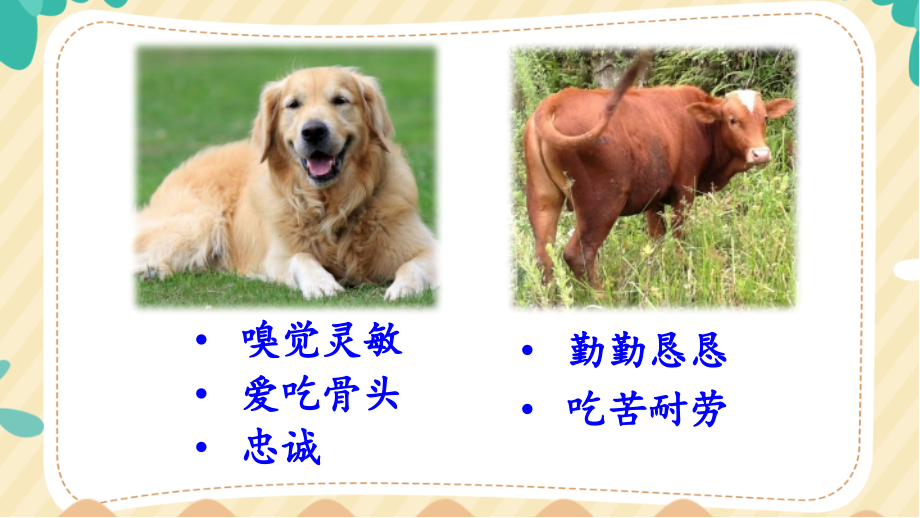 部编版四年级语文上册《习作：小小“动物园”》课件下载.ppt_第2页