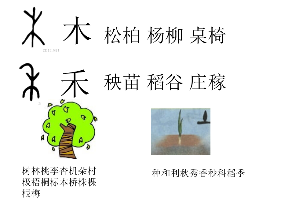 苏教版第四册识字3.ppt_第2页