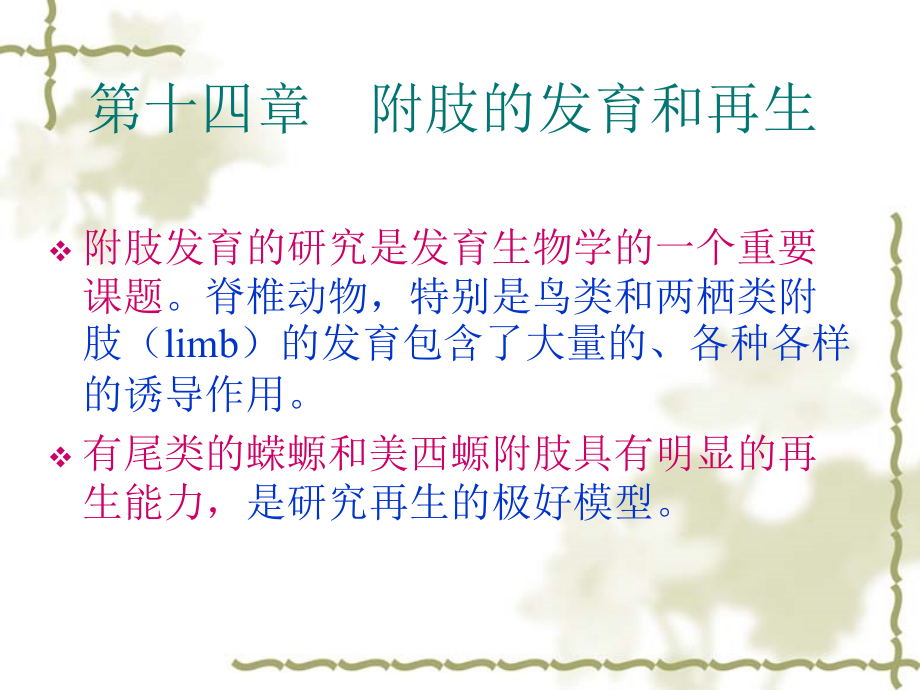 发育生物学课件.ppt_第2页