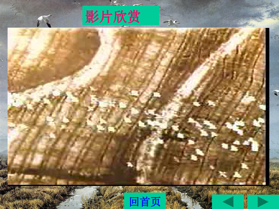 优翼原创课件.ppt_第2页