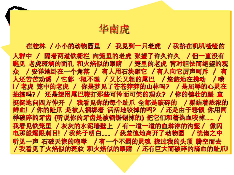 一窠八哥的迷.ppt_第1页