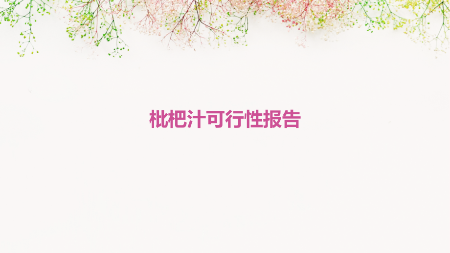 枇杷汁可行性报告.pptx_第1页