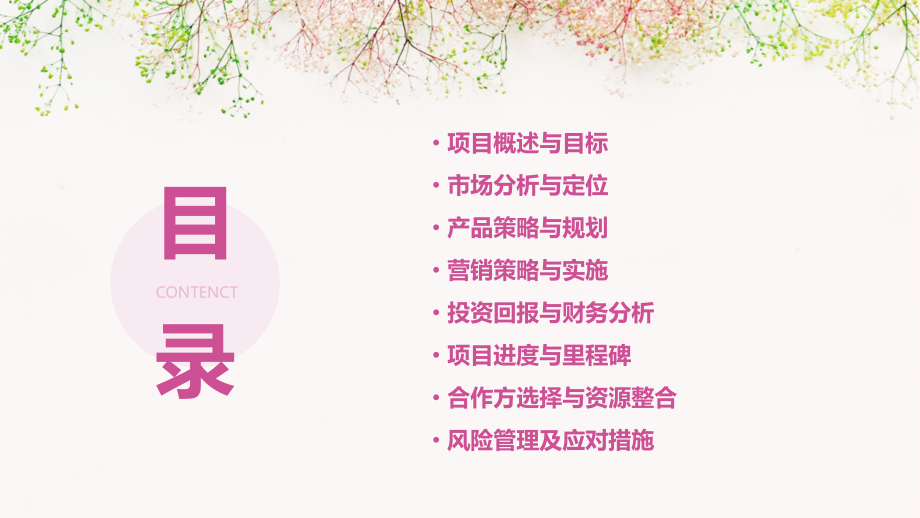 新城金樾府邸置业计划书.pptx_第2页