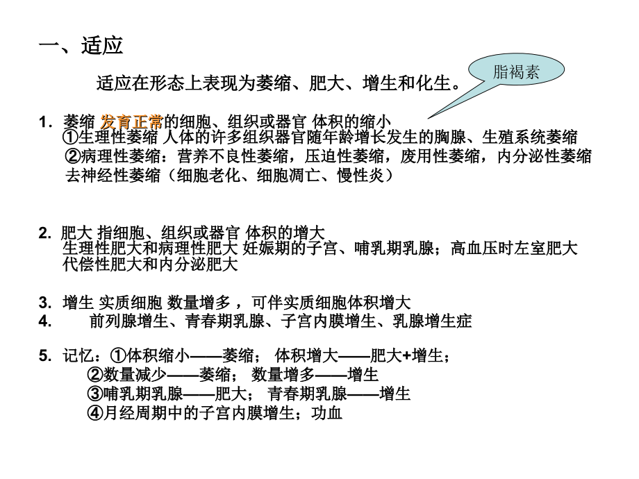 适应损伤修复-血障-炎症、肿瘤复习.ppt_第2页
