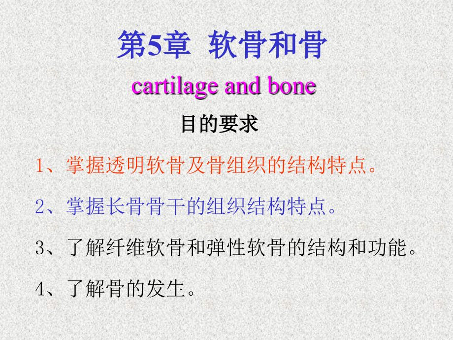 骨和软骨生理.ppt_第1页