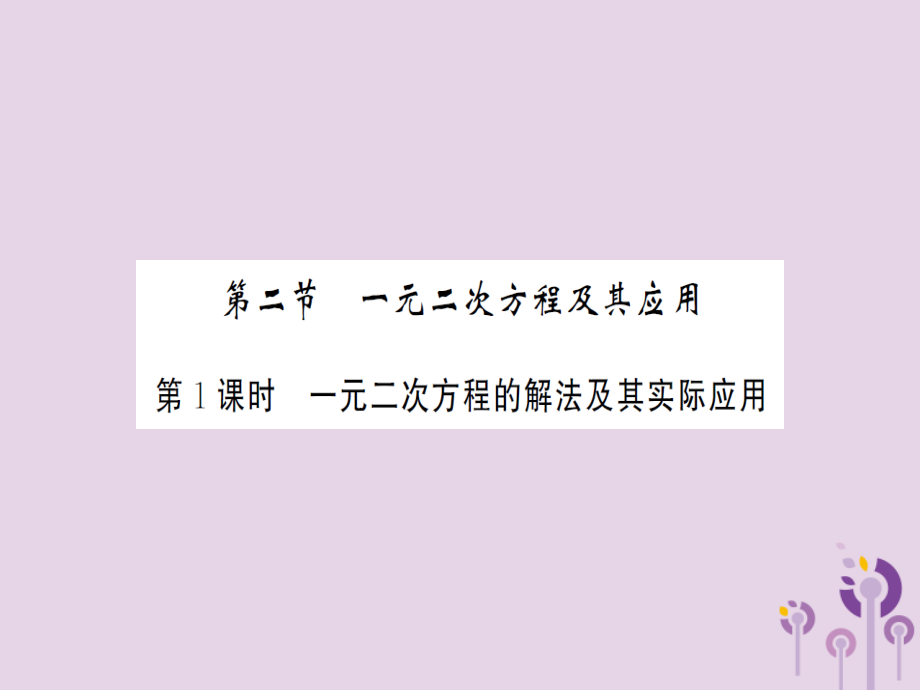 湖北省中考数学一轮复习 第二章 方程与不等式 第二节 一元二次方程及其应用 第1课时 一元二次方程的解法及其实际应用(习题提升)课件.ppt_第1页