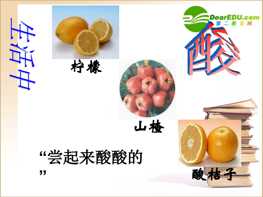 生活中的酸和碱(第一课时) 生活中的酸和碱(课件、学案、总结共7个).ppt_第2页
