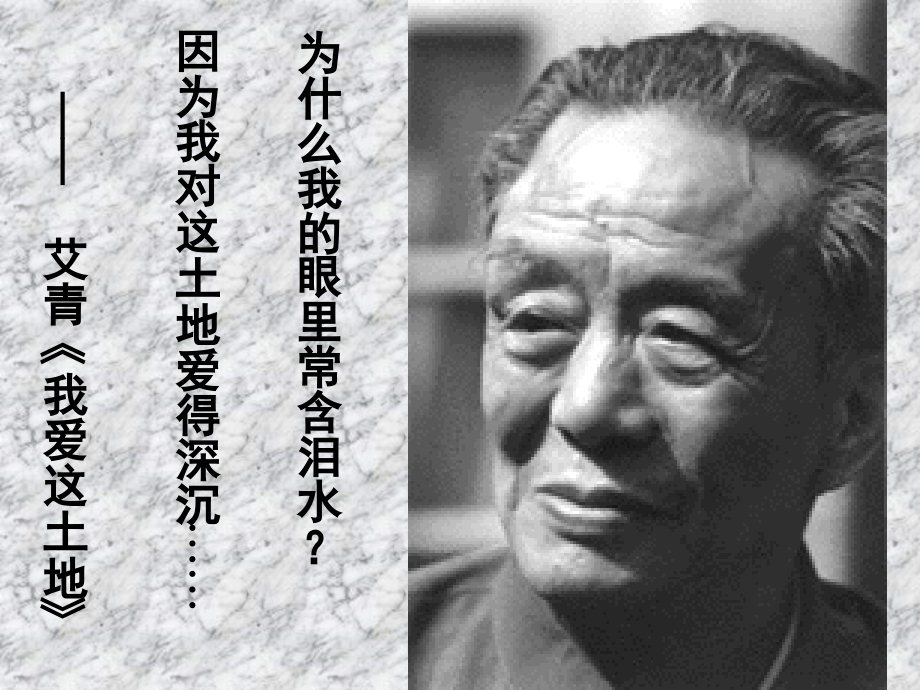 高中语文(雪落在中国的土地上)课件 粤教版 课件.ppt_第2页