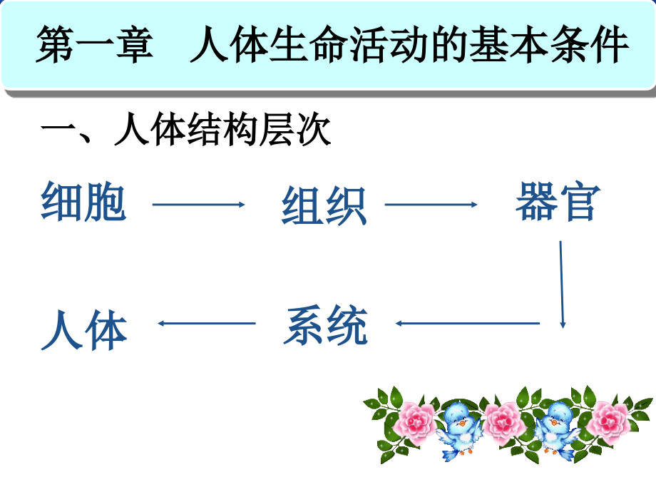初三生命科学学业考试复习.ppt_第2页