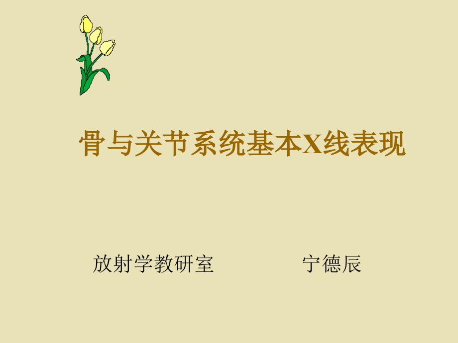 骨与关节基本x线表现.ppt_第1页