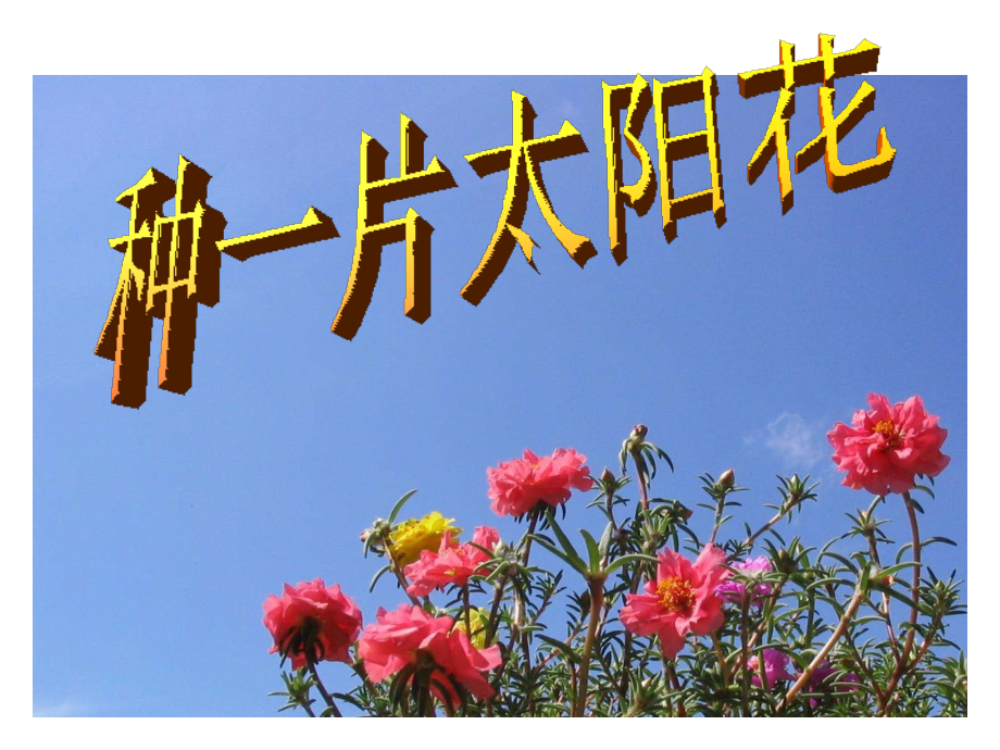 种下一片太阳花.ppt_第1页