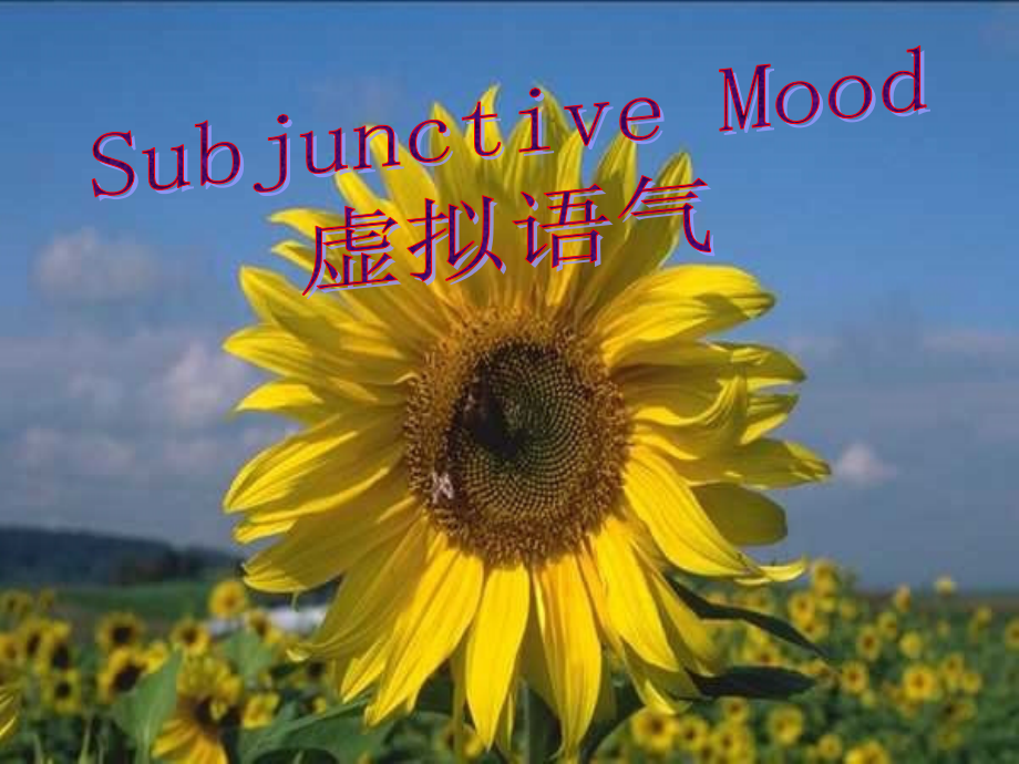 高中英语虚拟语气课件 人教版 课件.ppt_第1页