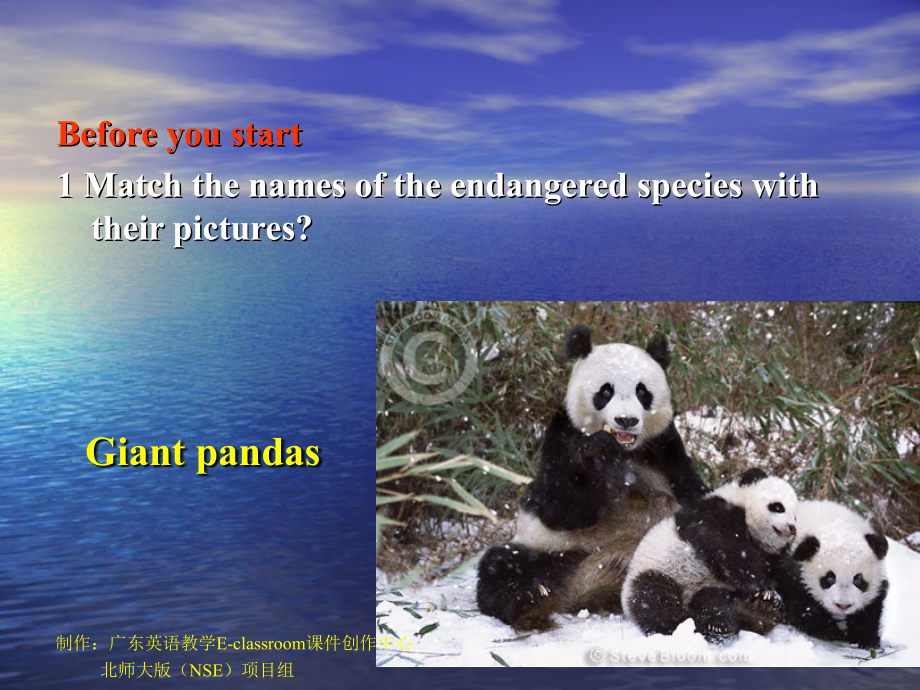 高中英语Unit 22 Lesson 2 Endangered Species 课件3北师大版选修8 课件.ppt_第2页