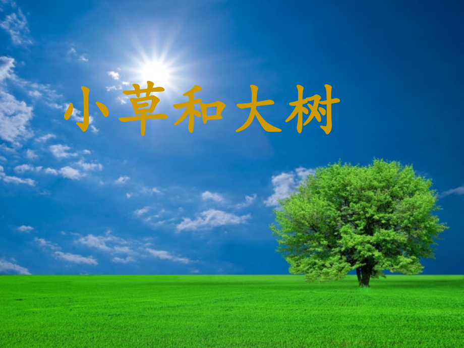 小草和大树2.ppt_第2页