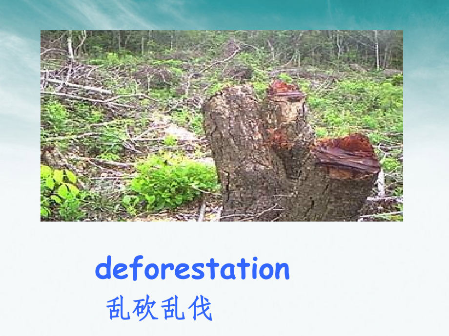 高考英语 environmental protection课件 新人教版 课件.ppt_第2页