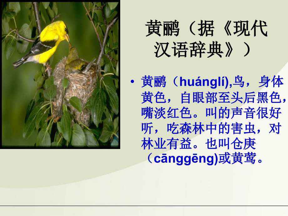 高中语文 25(黄鹂)课件 语文版必修1 课件.ppt_第2页