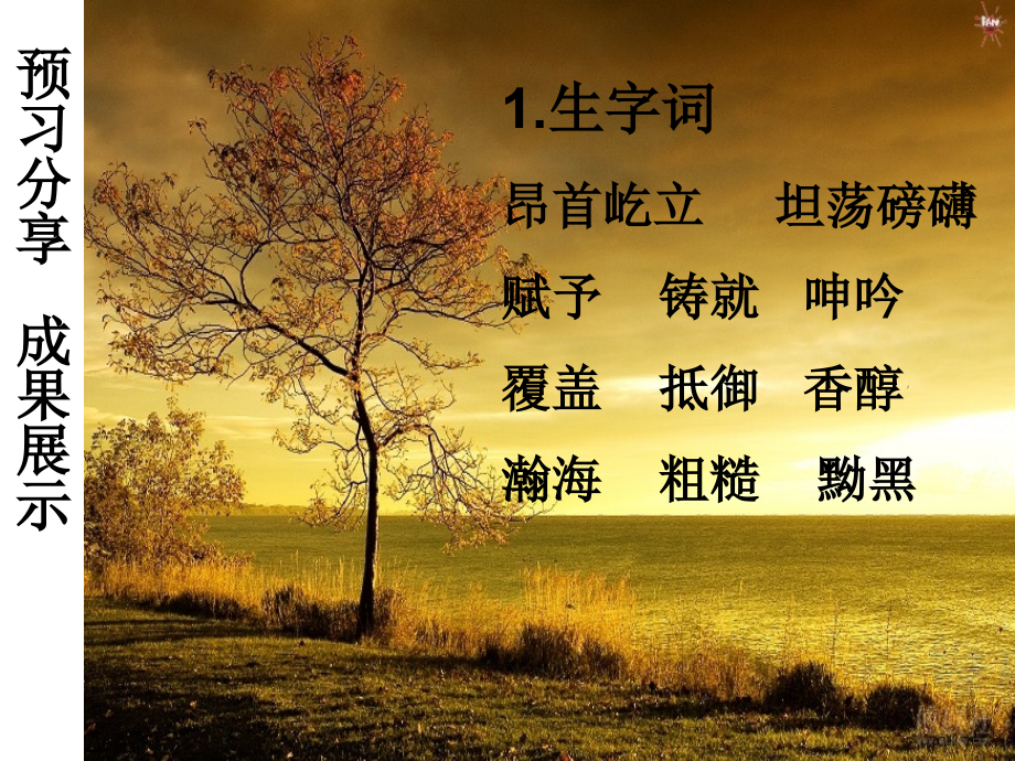 我骄傲我是一棵树（定稿）.ppt_第2页