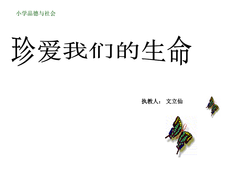 2珍爱我们的生命.pptx_第1页