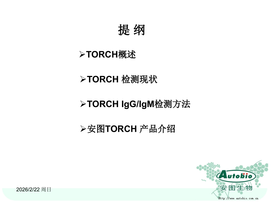 TORCH-针对检验科.ppt_第2页