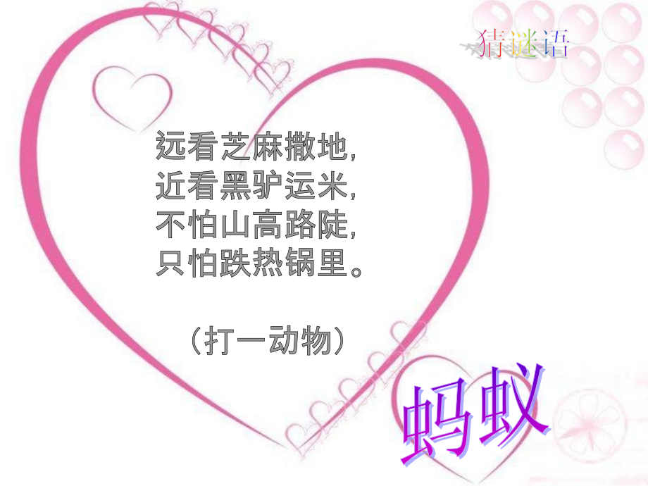 蚂蚁---课件.ppt_第1页