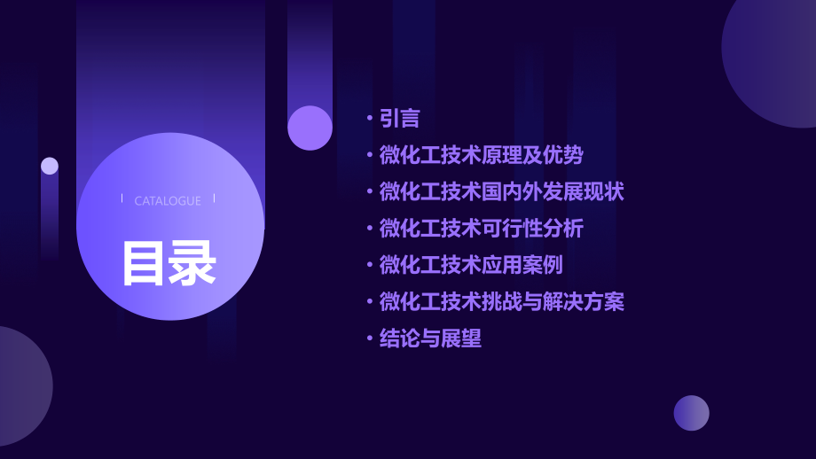 微化工可行性报告.pptx_第2页