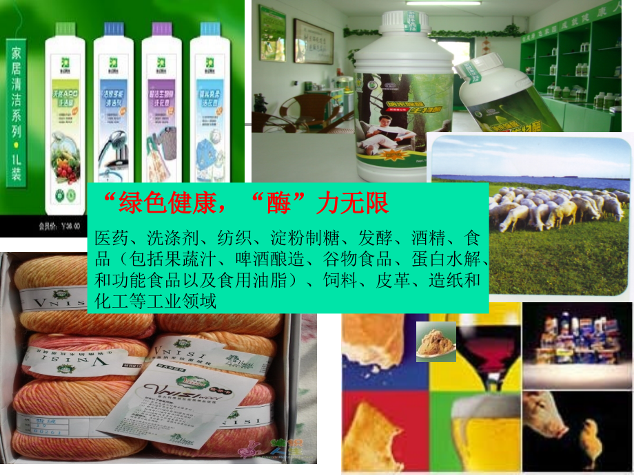 第八章-酶的应用.ppt_第2页