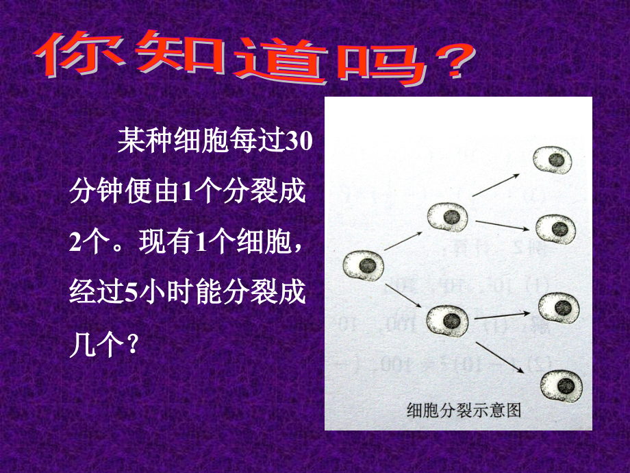 有理数乘方的运算-(2).ppt_第2页