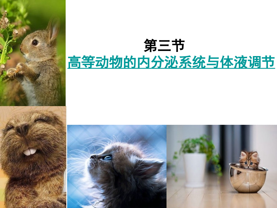 内分泌系统与体液调节(一).ppt_第1页