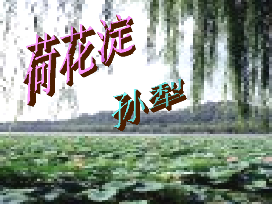高一语文下册(荷花淀)课件 人教版第二册 课件.ppt_第1页