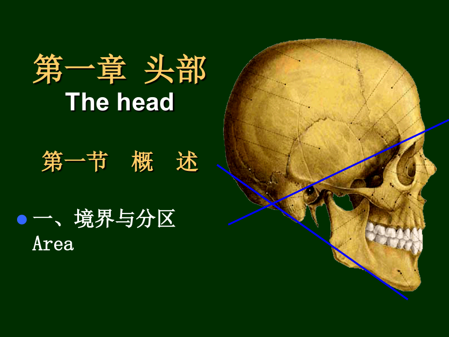局解头部.ppt_第2页