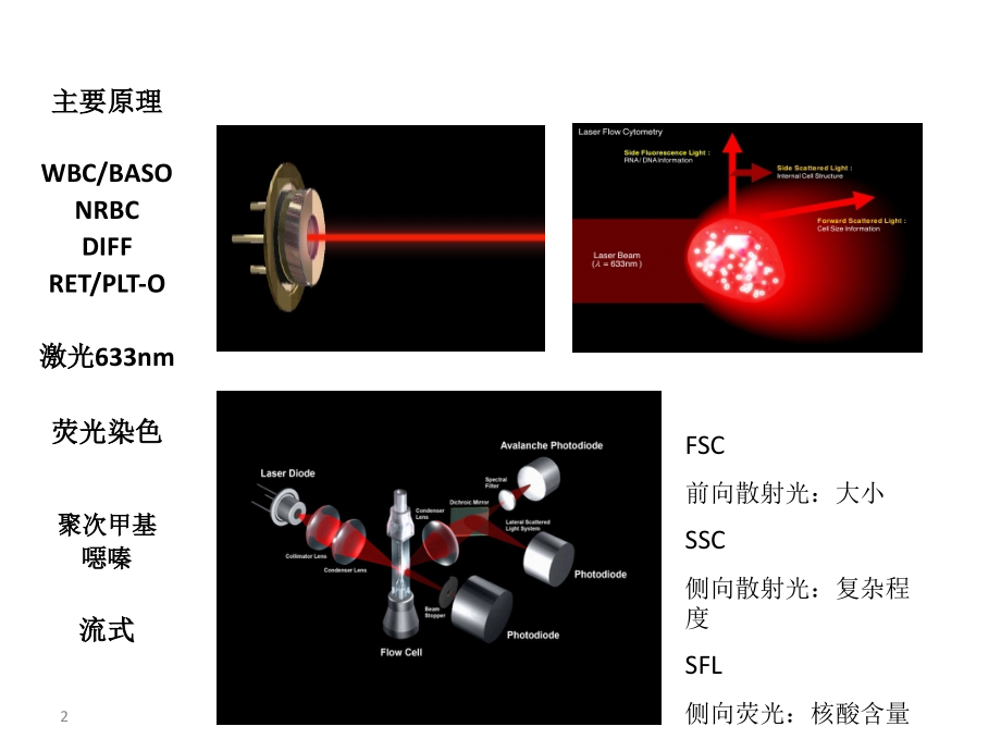 xe2100结构与原理以及报警信息.pptx_第2页