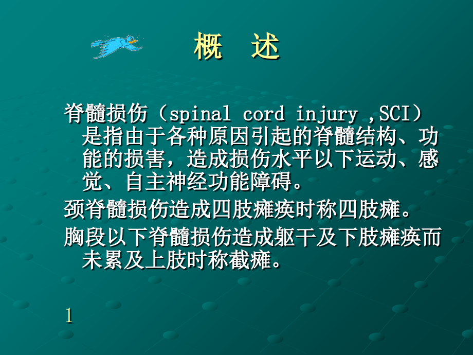 脊髓损伤的康复-定稿课件.ppt_第2页