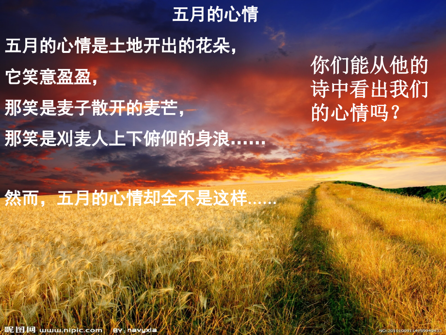 观刈麦公开课.ppt_第1页