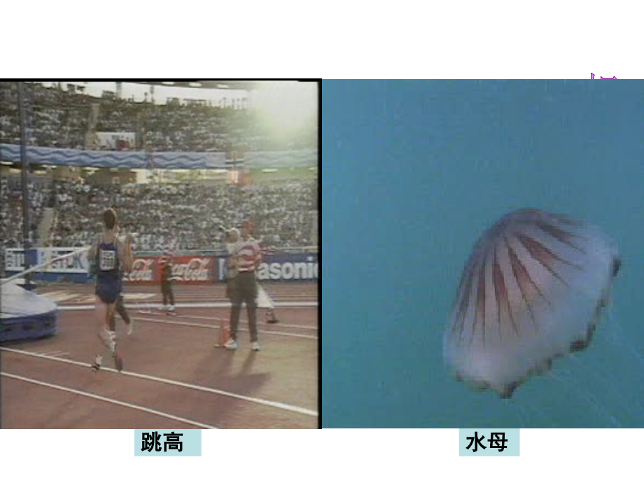 运动与力前篇.ppt_第2页