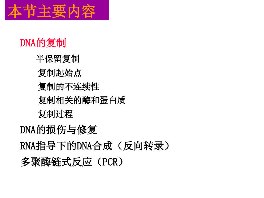 第11章DNA合成BFD.ppt_第2页