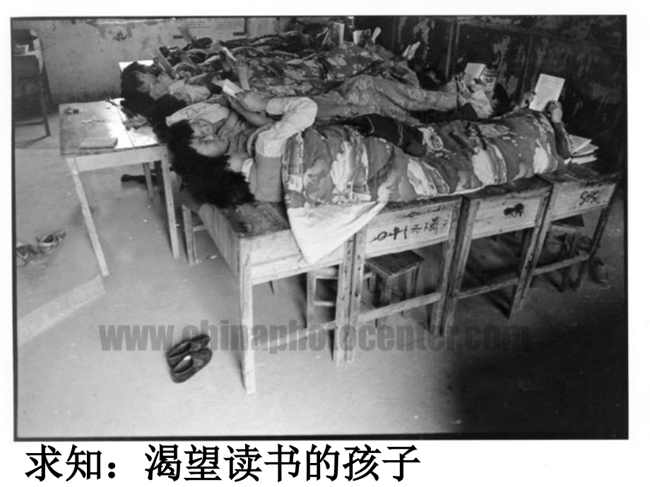 黑龙江省塔河县鄂伦春民族中心校七年级语文(盲孩子和他的影子)课件课件.ppt_第2页