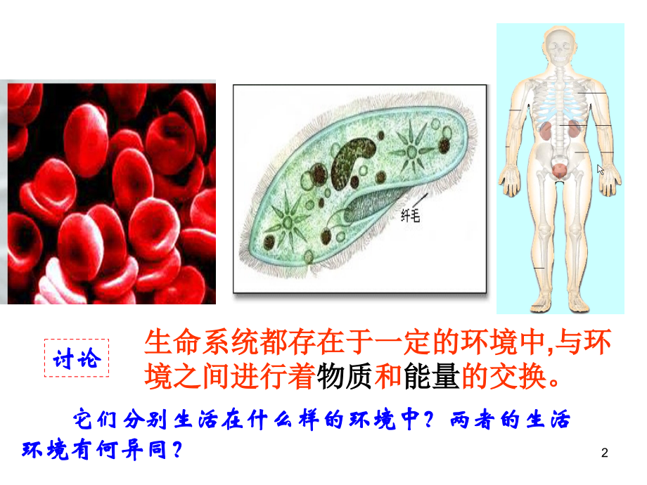 必修三学考复习内环境与稳态好.ppt_第2页