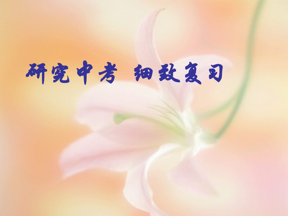 中考语文研究中考细致复习 试题.ppt_第1页