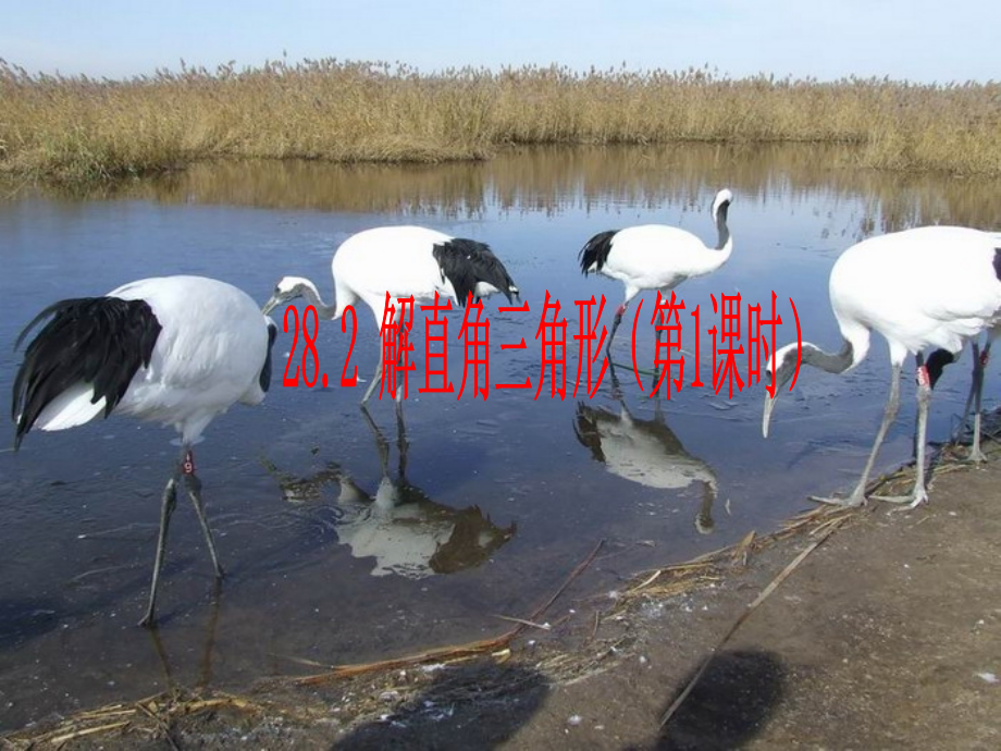 九年级数学-28.2-解直角三角形1-课件人教版.ppt_第1页