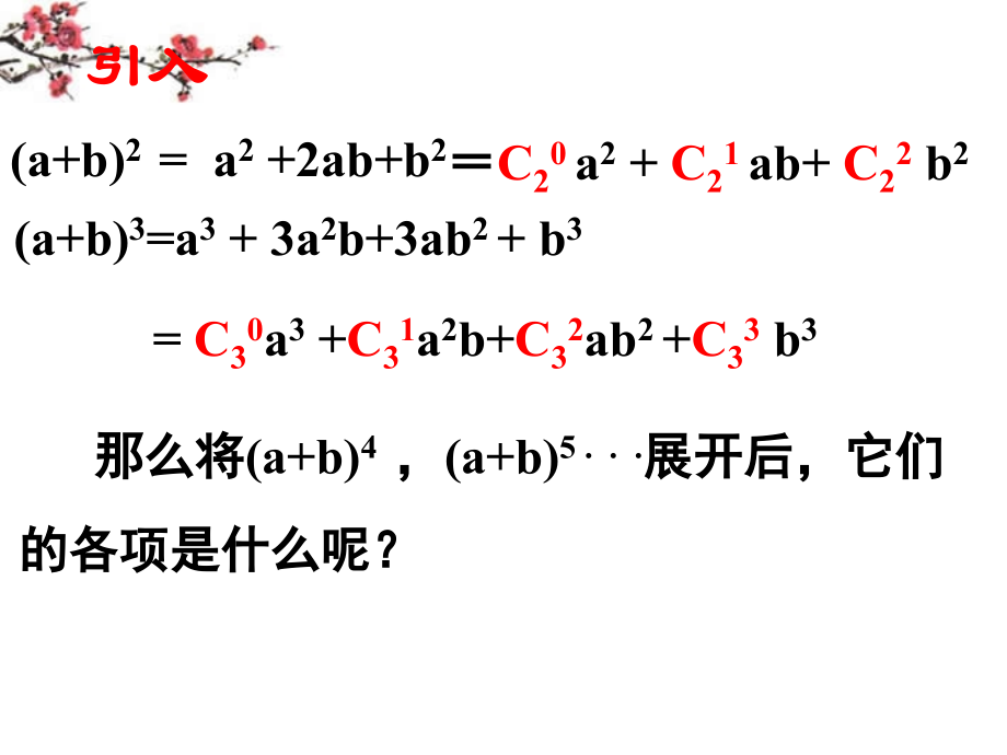 高二数学(二项式定理)课件.ppt_第2页