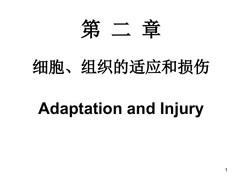 组织细胞的适应与损伤课件.ppt_第1页
