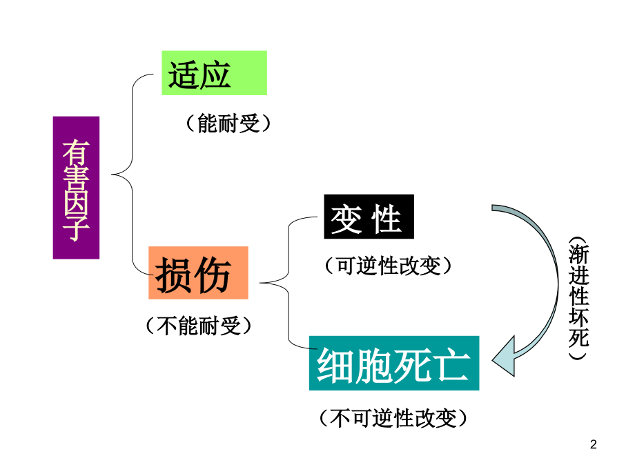 组织细胞的适应与损伤课件.ppt_第2页