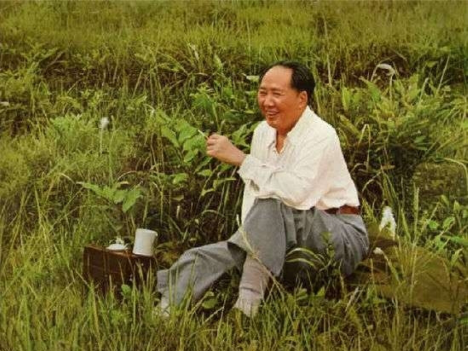 人教版五年级语文上册第八组《毛主席在华山》1-(2).ppt_第1页
